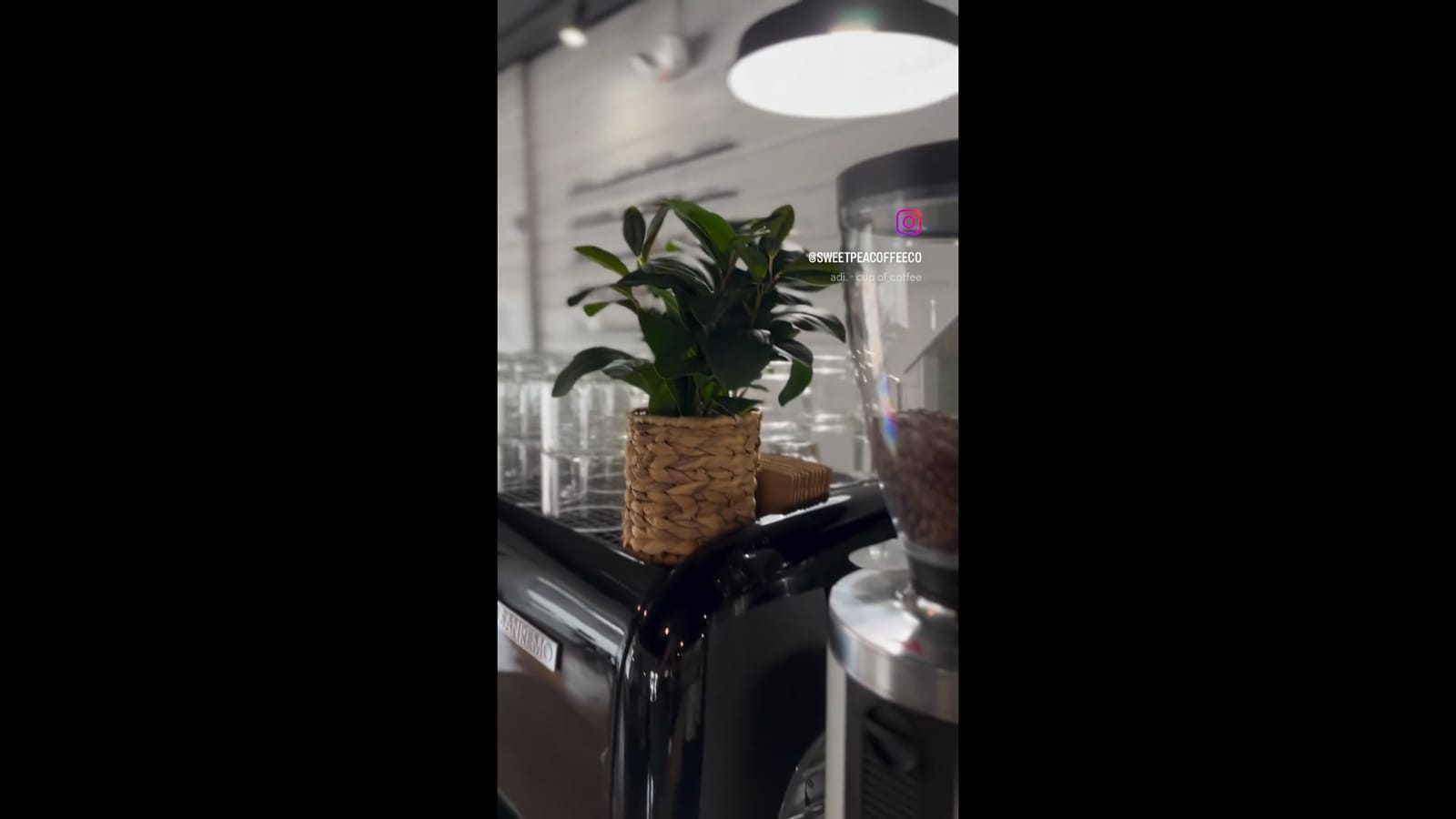Sweet Pea Coffee Co photo 2