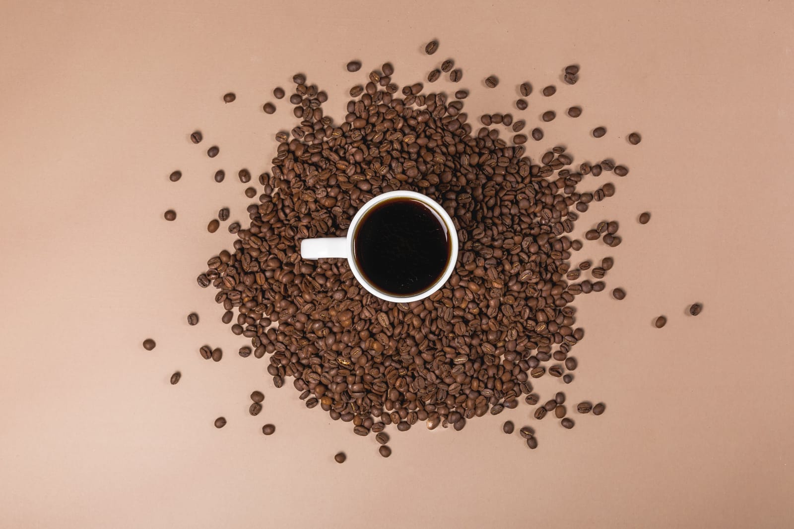 Campers Coffee Co photo 5