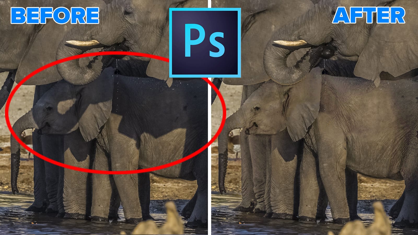 Photoshop Cafe photo 6