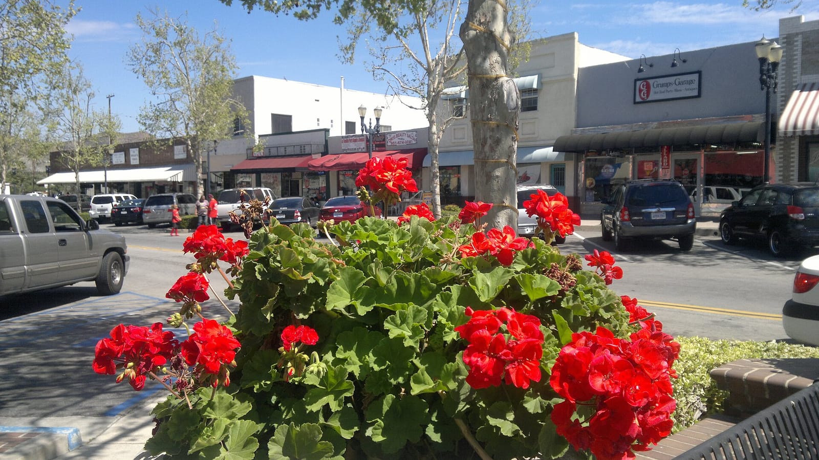 La Taza Community Coffeehouse photo 3