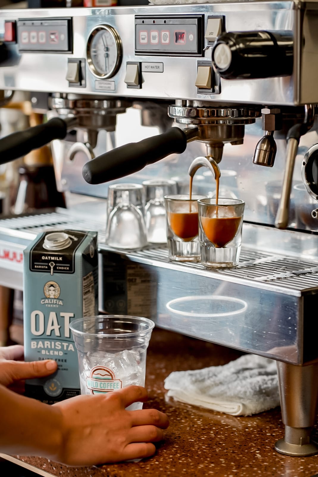 Wild Coffee - Main Street