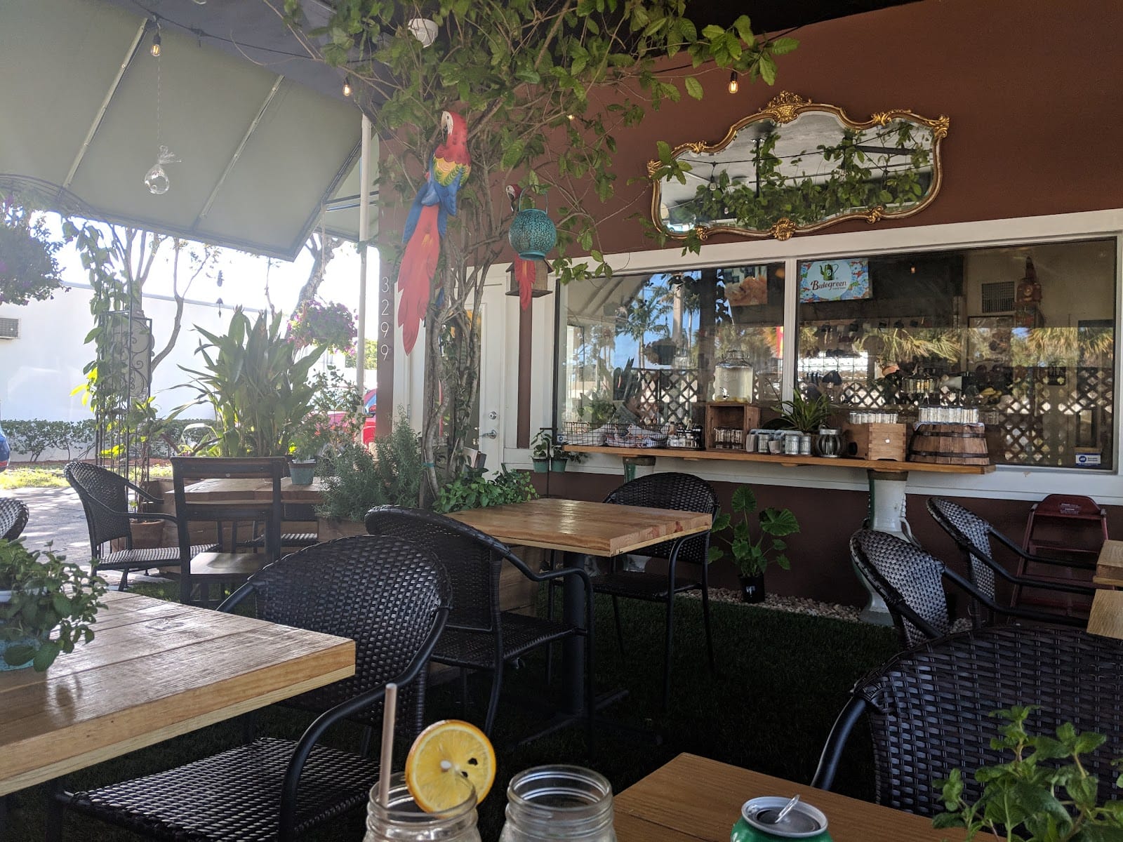 Bulegreen Cafe Yard