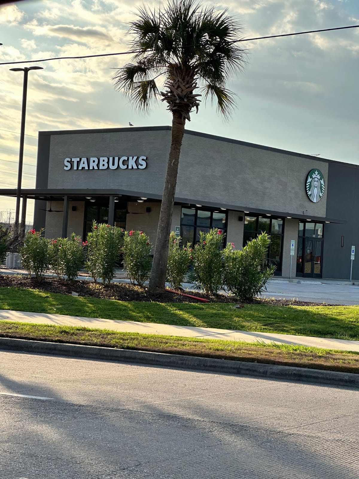 Starbucks Coffee Company