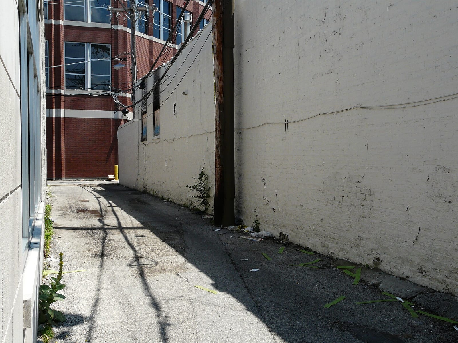The High Crowd Cafe photo 5