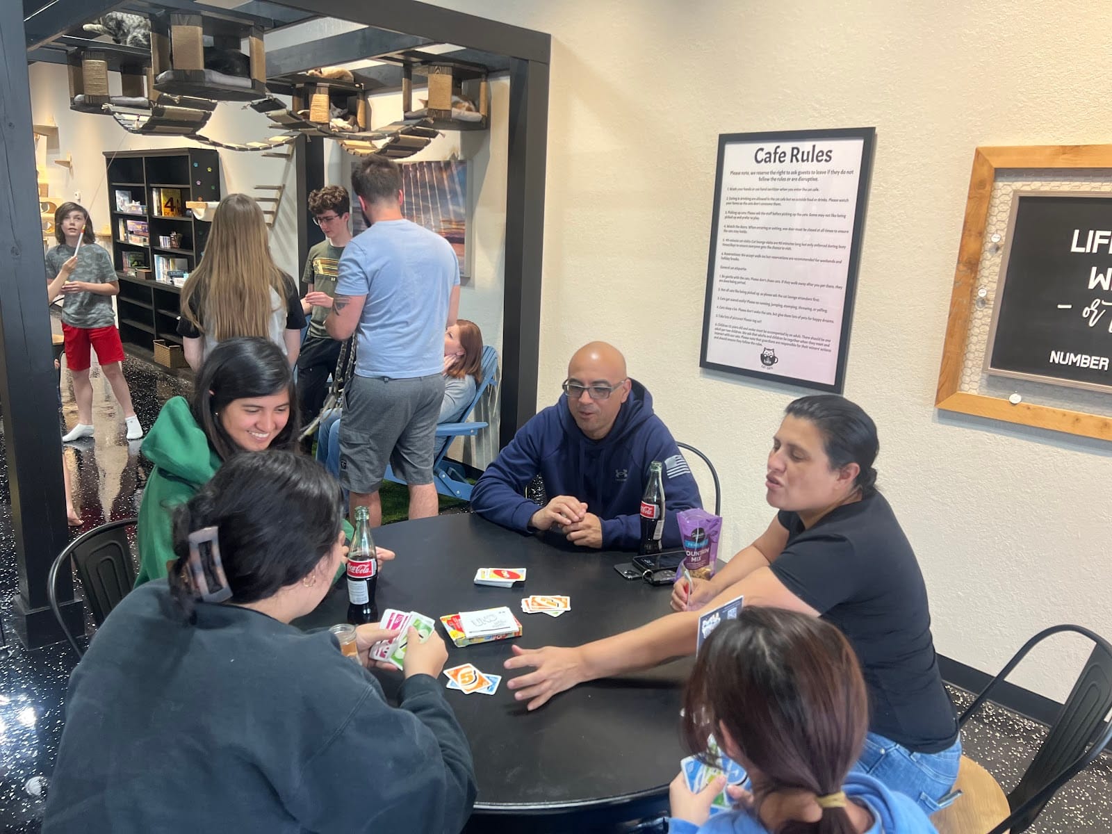 Elevated Communities Cat Cafe