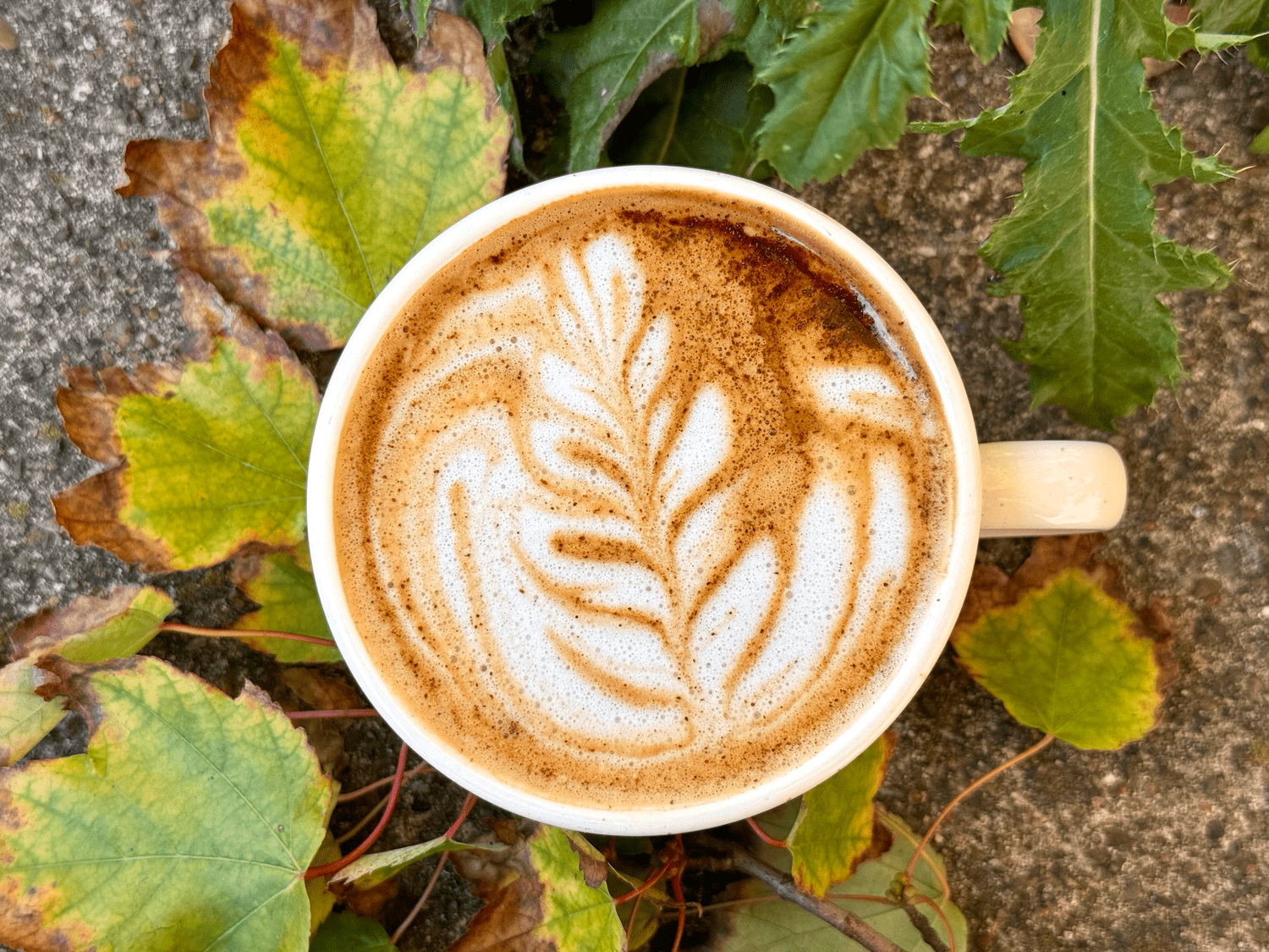 Magdalen’s Gallery + Espresso photo 2