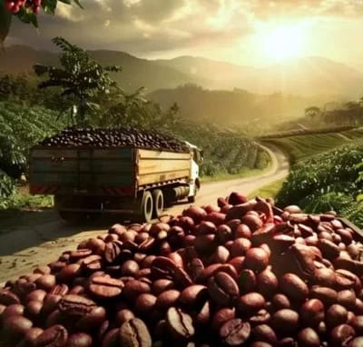 Robu Coffee photo 4