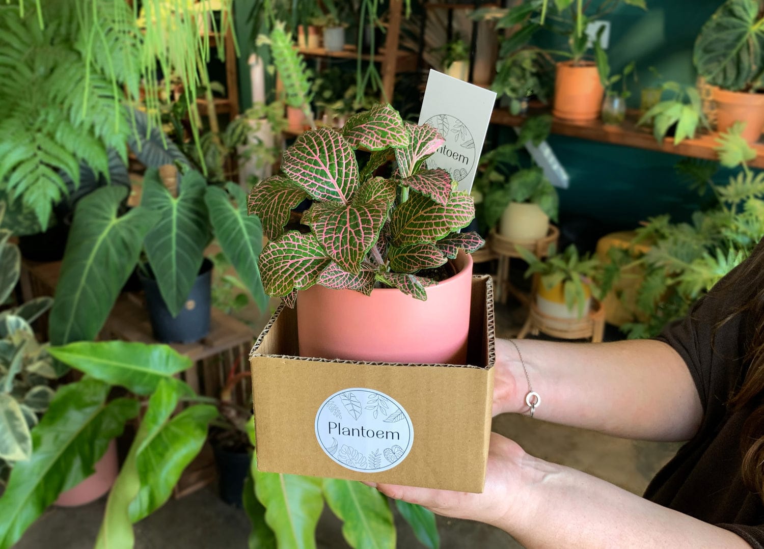 Plantoem Cafe photo 7