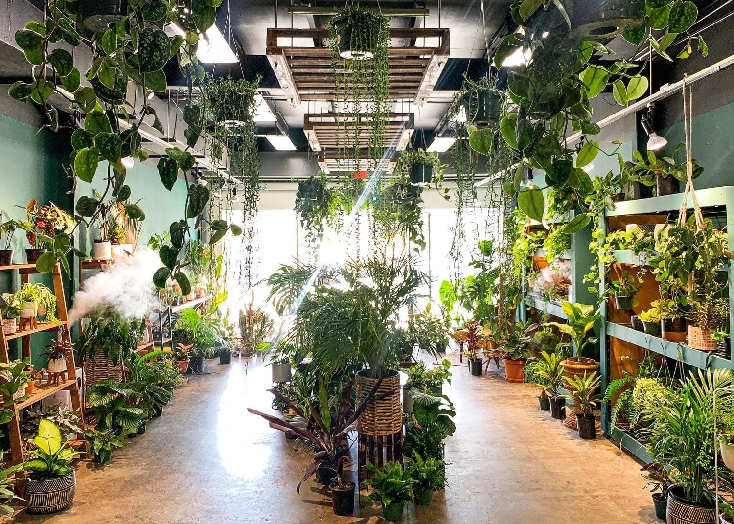 Plantoem Cafe photo 5