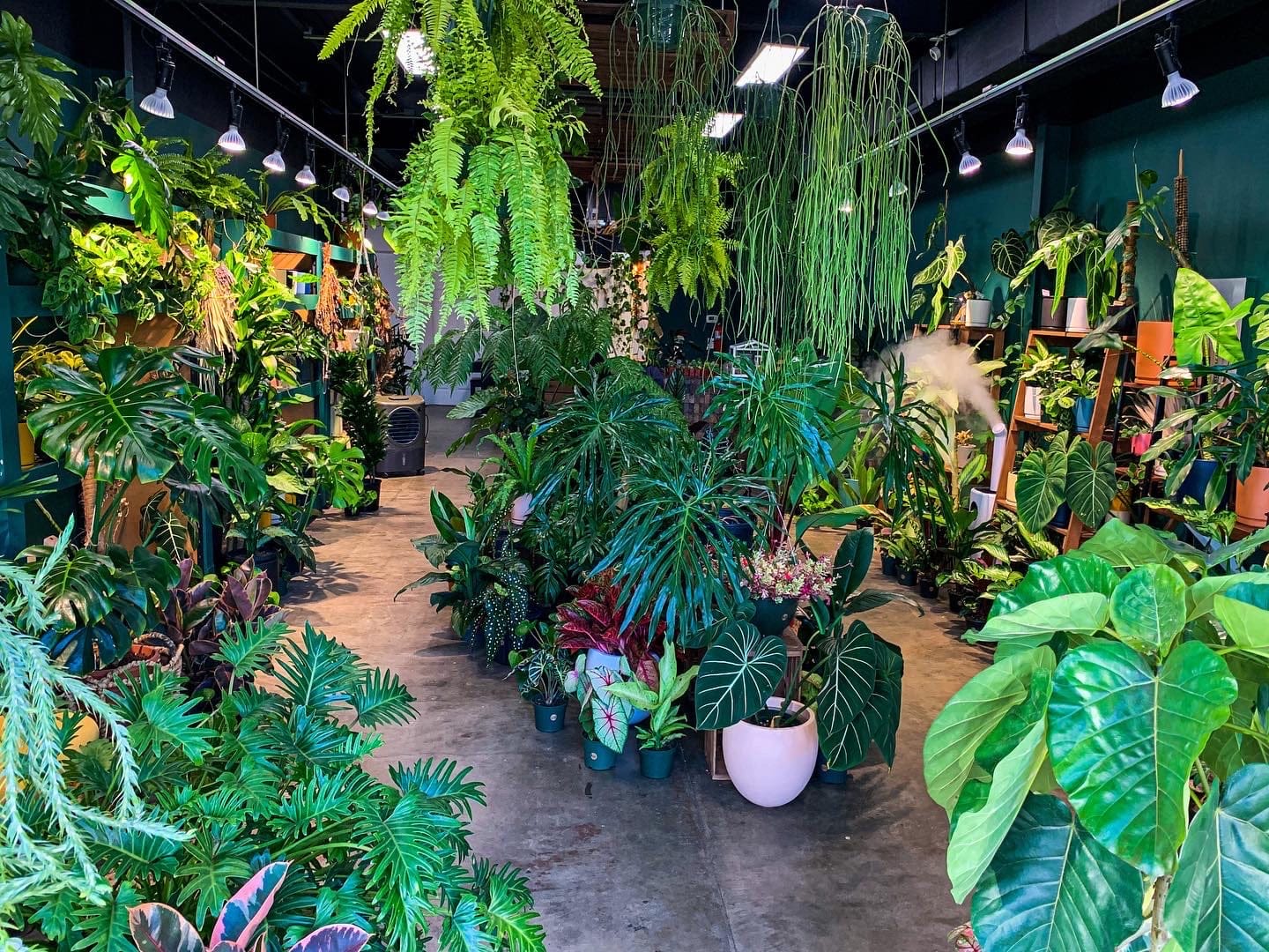 Plantoem Cafe photo 4