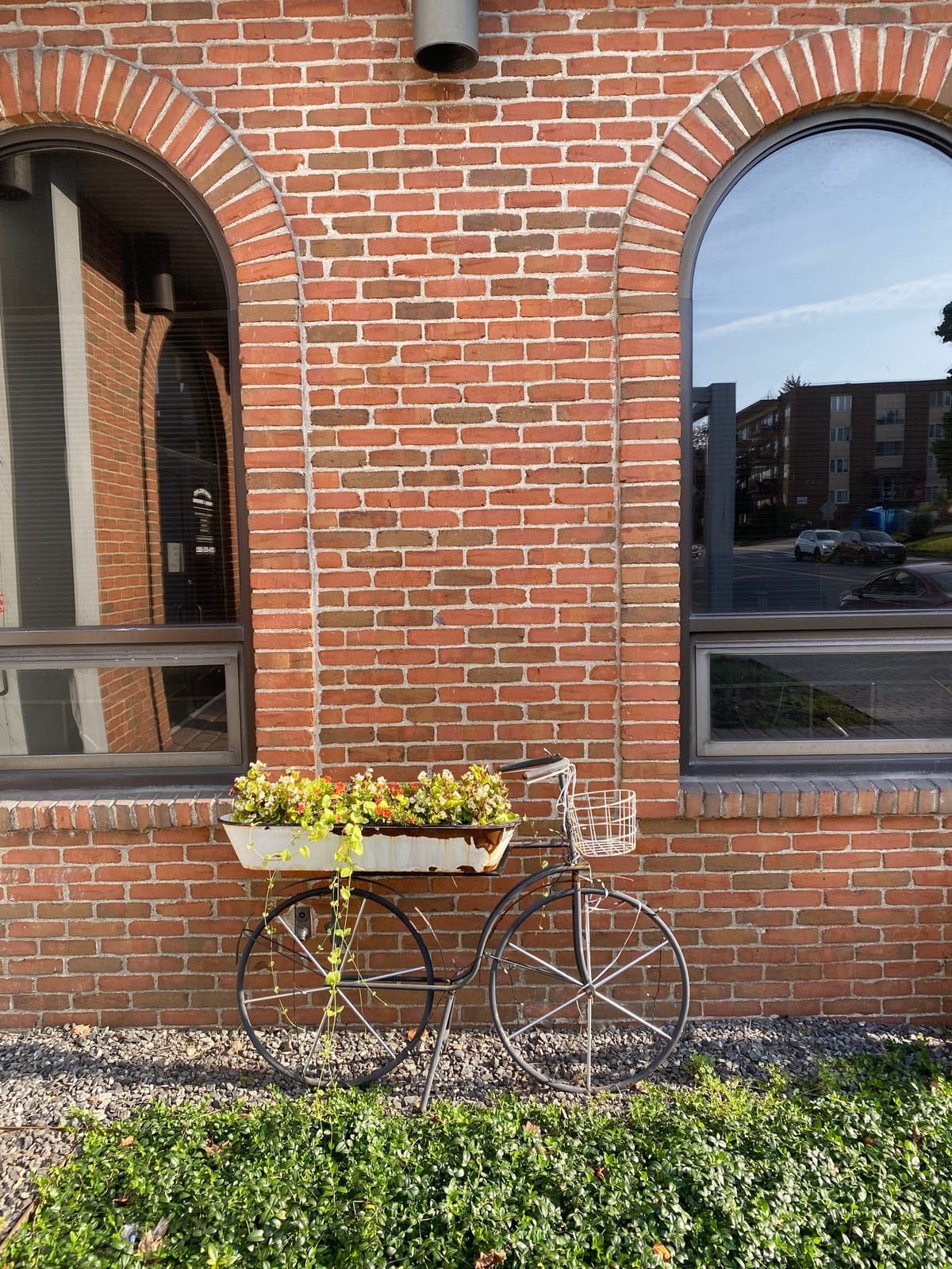 The Ride Cafe bike shop photo 2