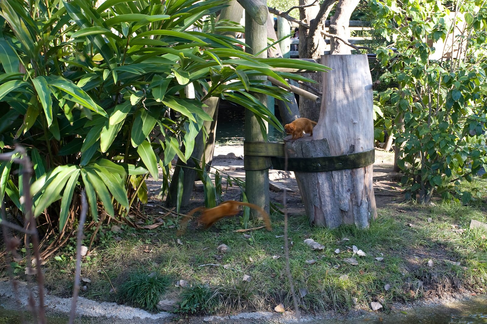 Flamingo Café photo 3