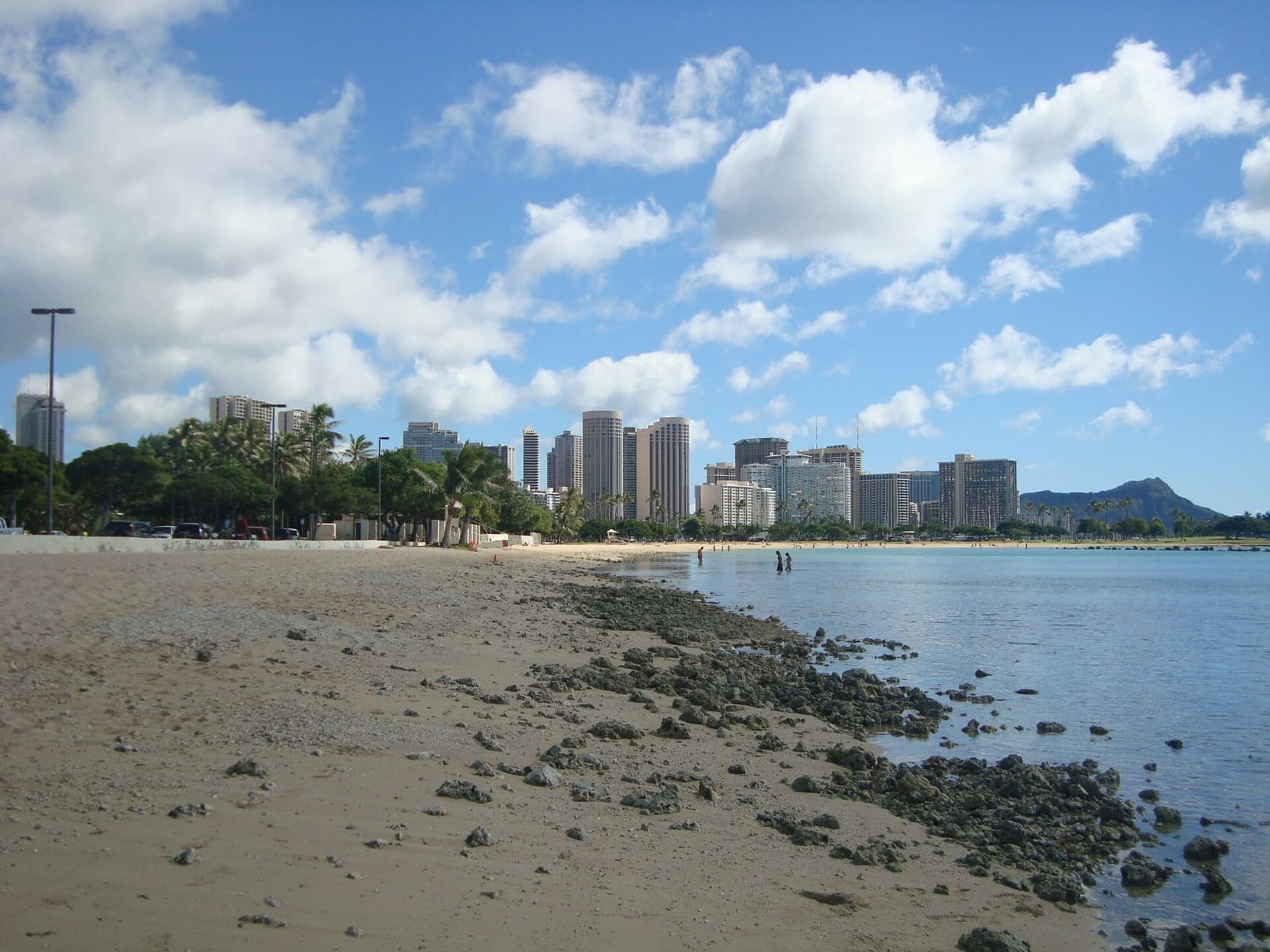 Hawaii Cat Cafe Waikiki Beach Walk photo 5