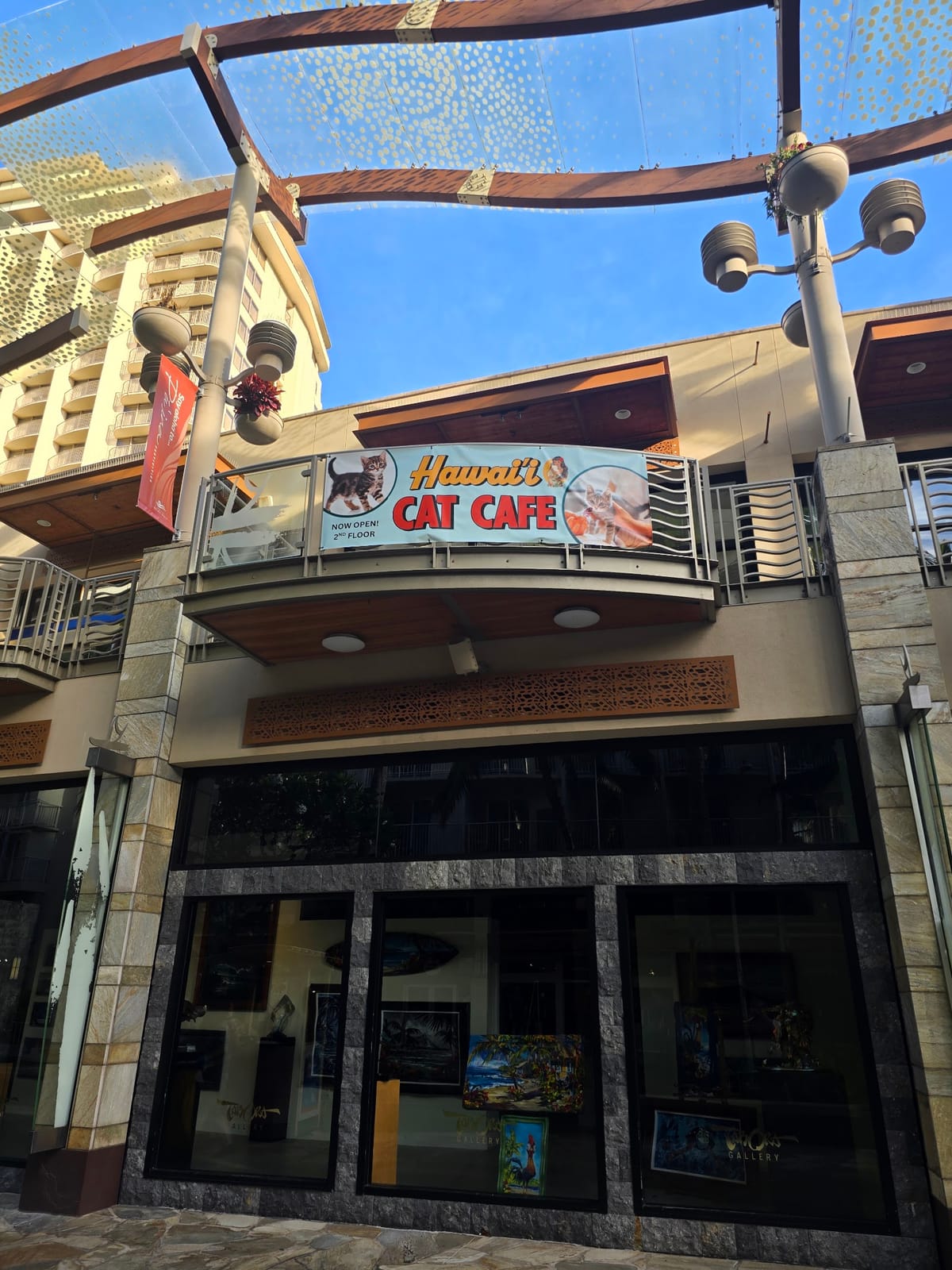 Hawaii Cat Cafe Waikiki Beach Walk
