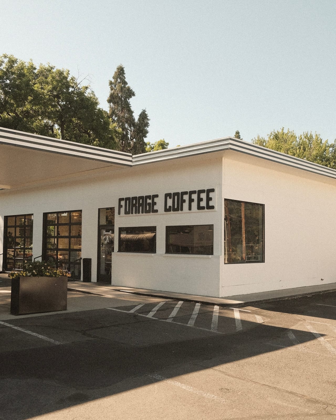 Forage Coffee Company photo 5
