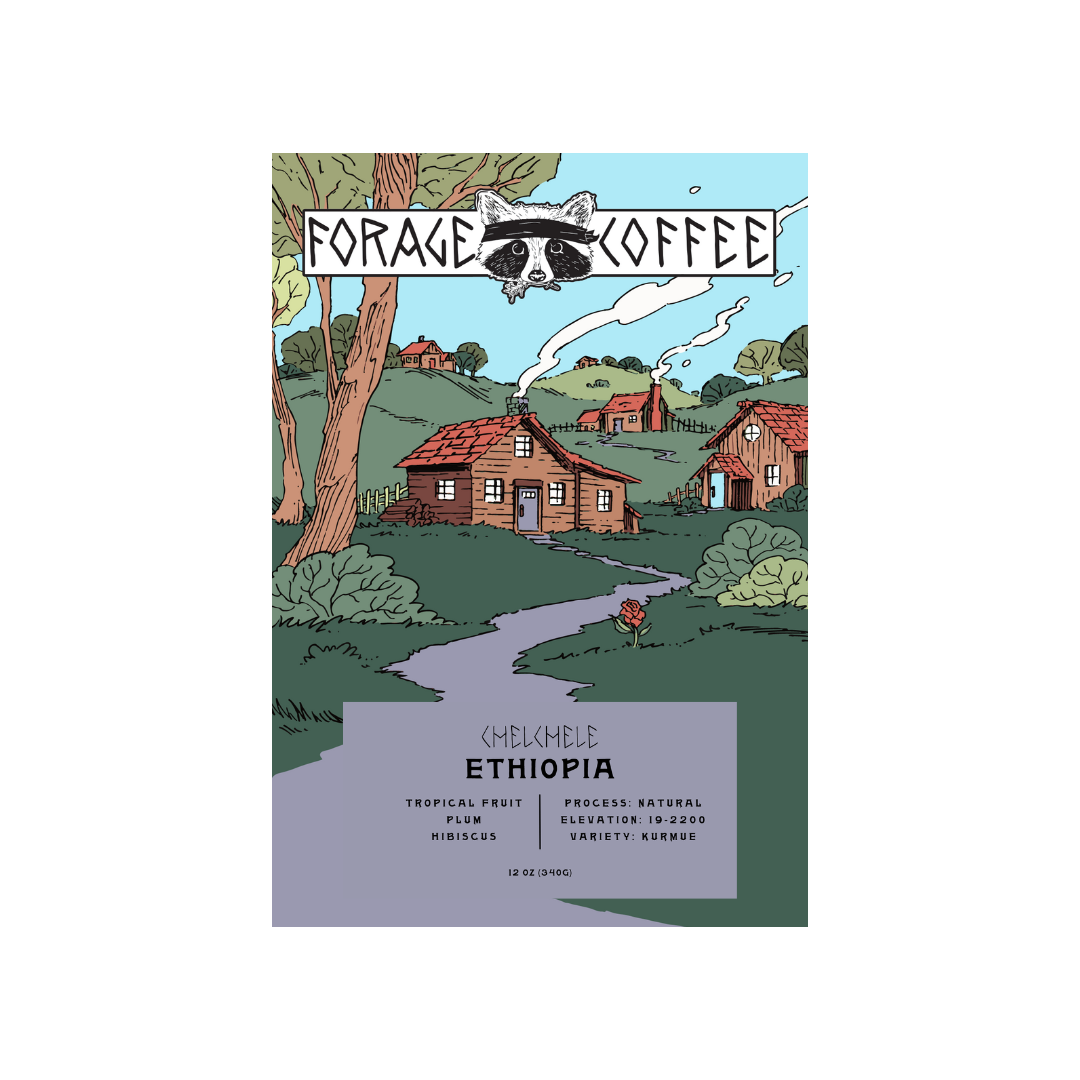 Forage Coffee Company photo 8