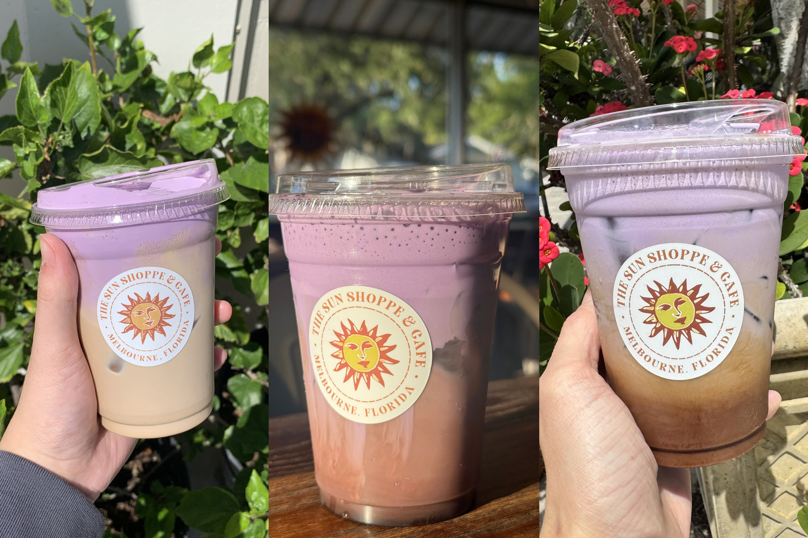 The Sun Shoppe & Cafe photo 6