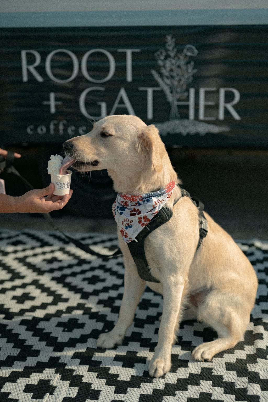 Root + Gather Coffee Co. photo 5