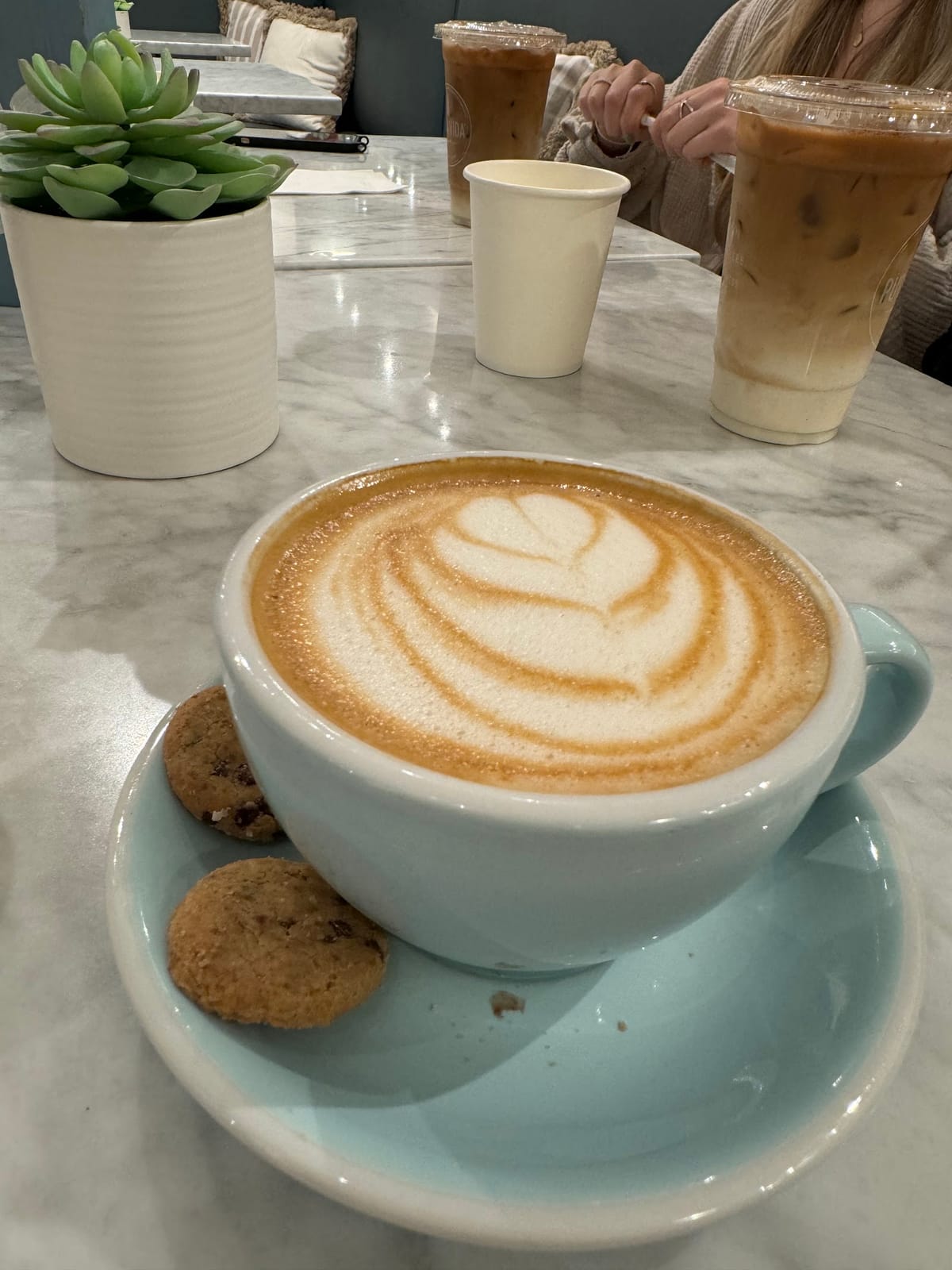 Pura Vida Miami