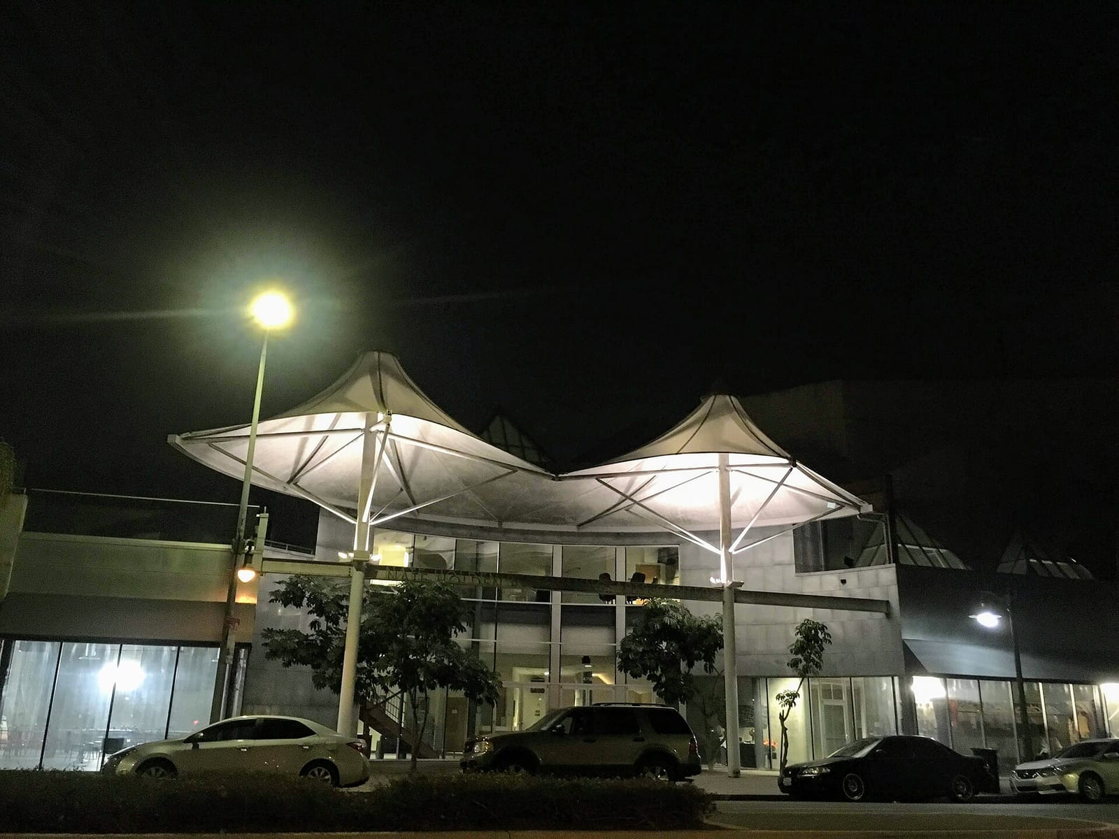 Palm Grove Social photo 2
