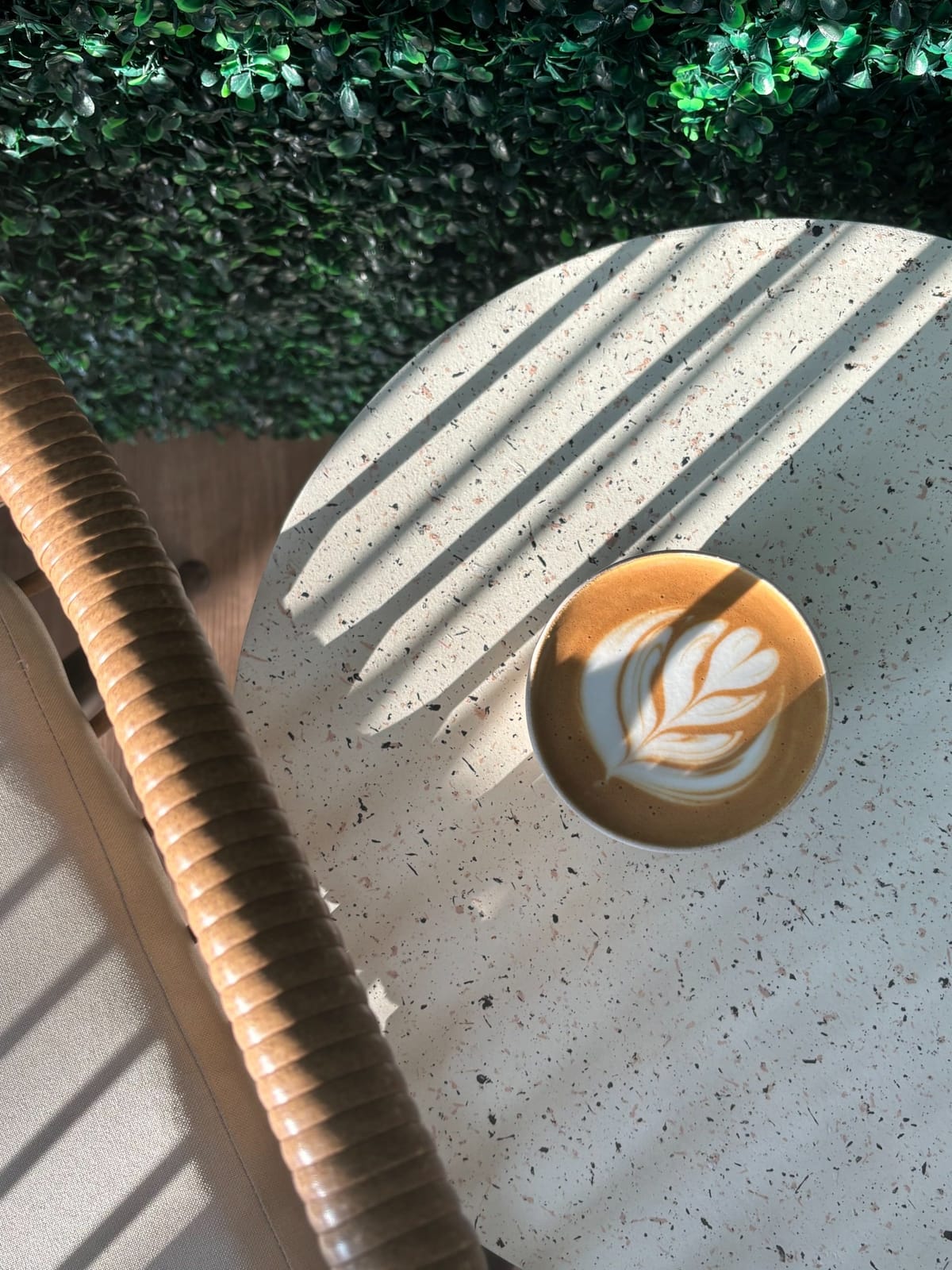 Vibe Coffee Co. photo 3