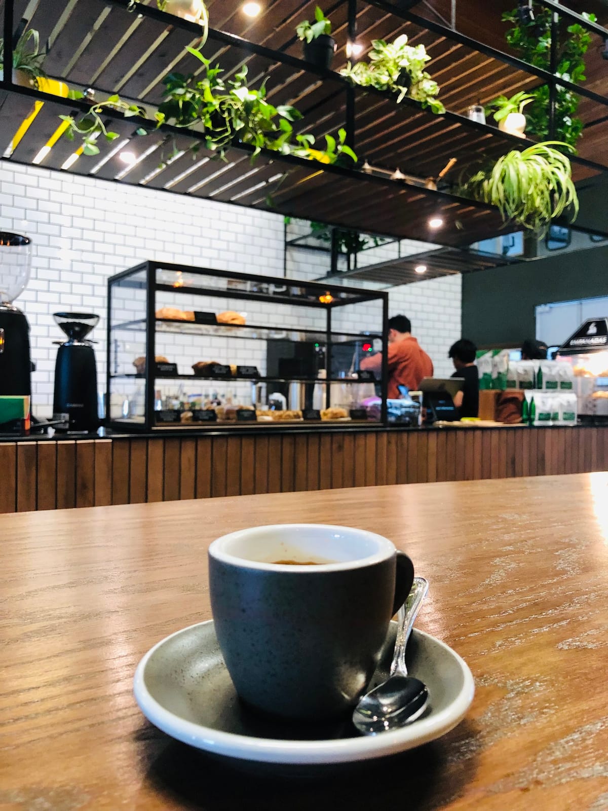 Jaunt Coffee Roasters