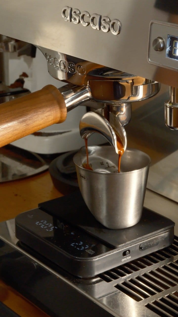 CAFE ALLEGRO photo 5