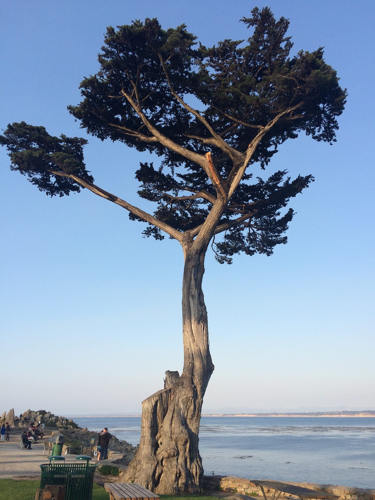 Lovers Point Beach Cafe photo 11