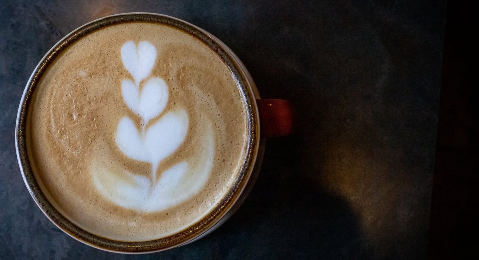 Terra Café photo 4