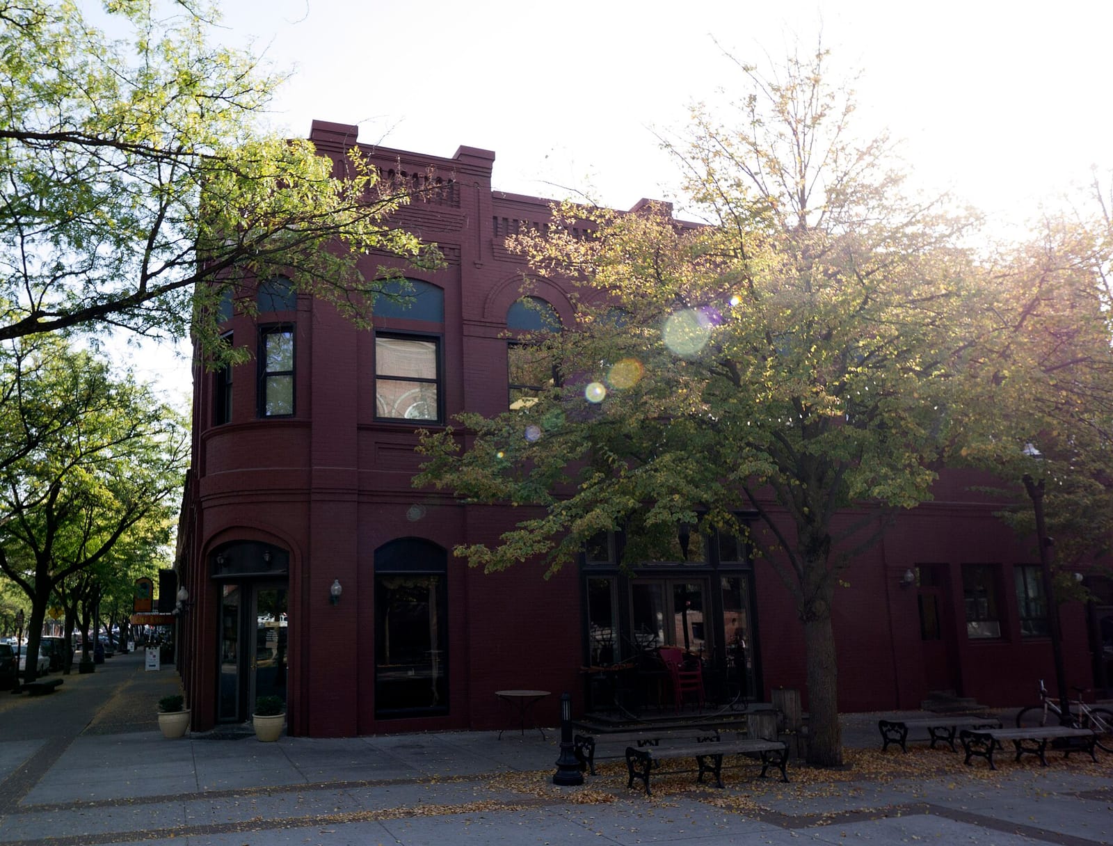 The Sword and Shovel Coffeehouse & Bookstore photo 3