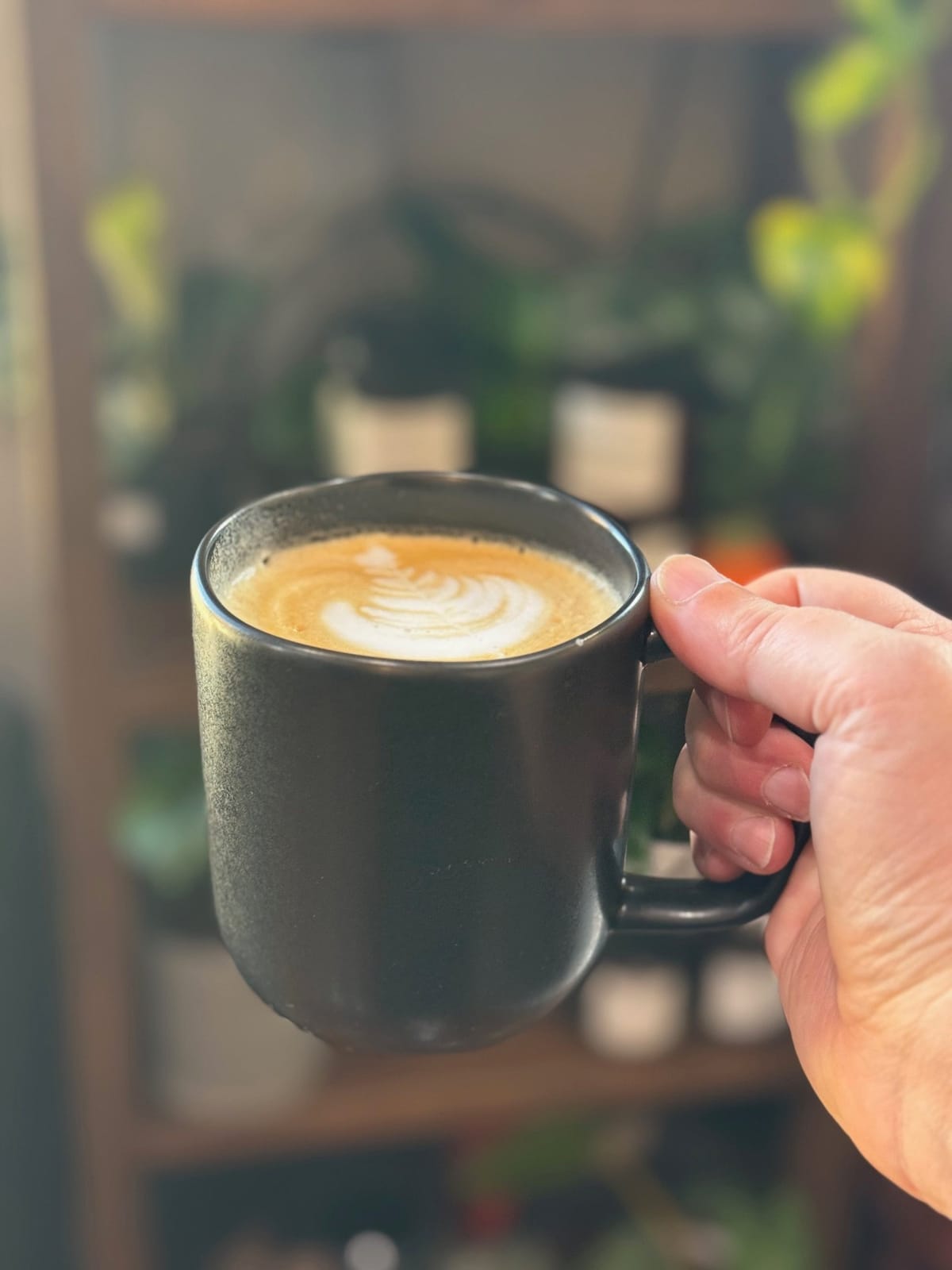 Ready Teddy's Coffee photo 6