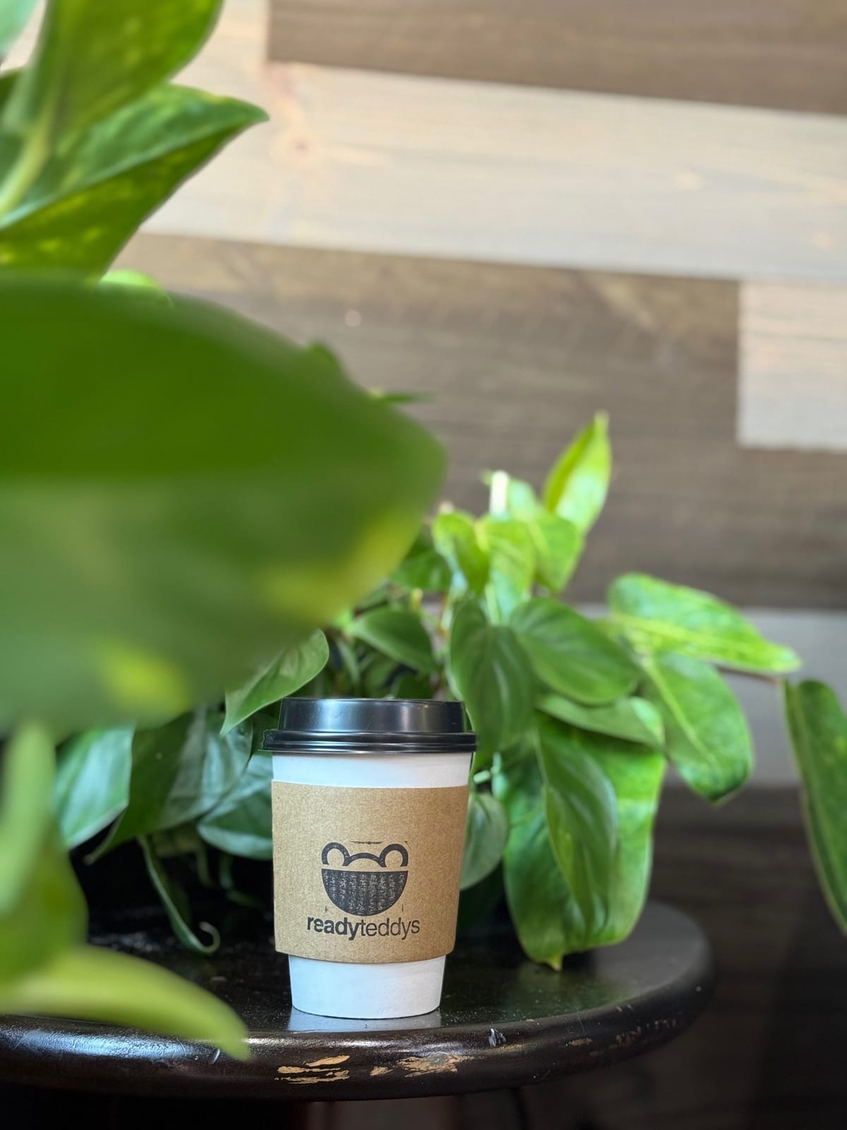 Ready Teddy's Coffee