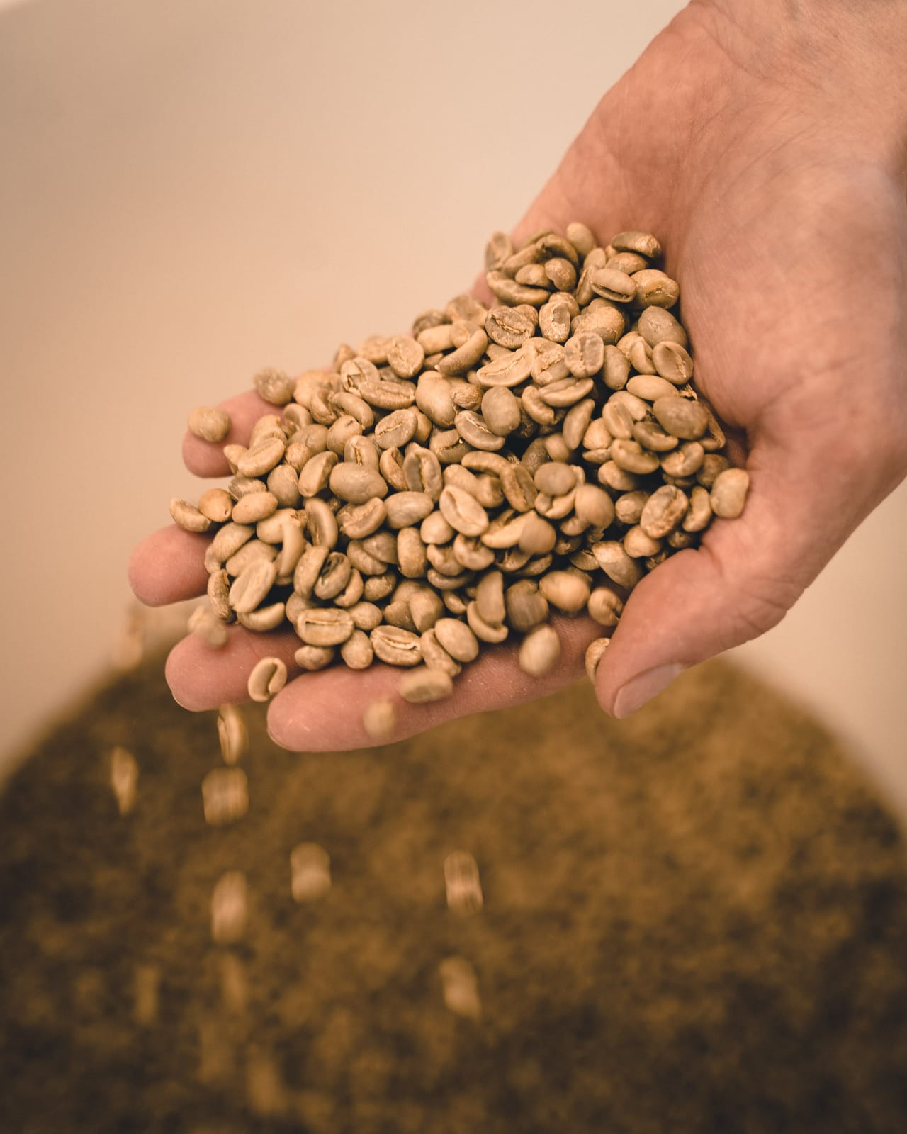 Talk Coffee Roasters photo 3