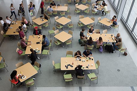 Harvest IFNH photo 2