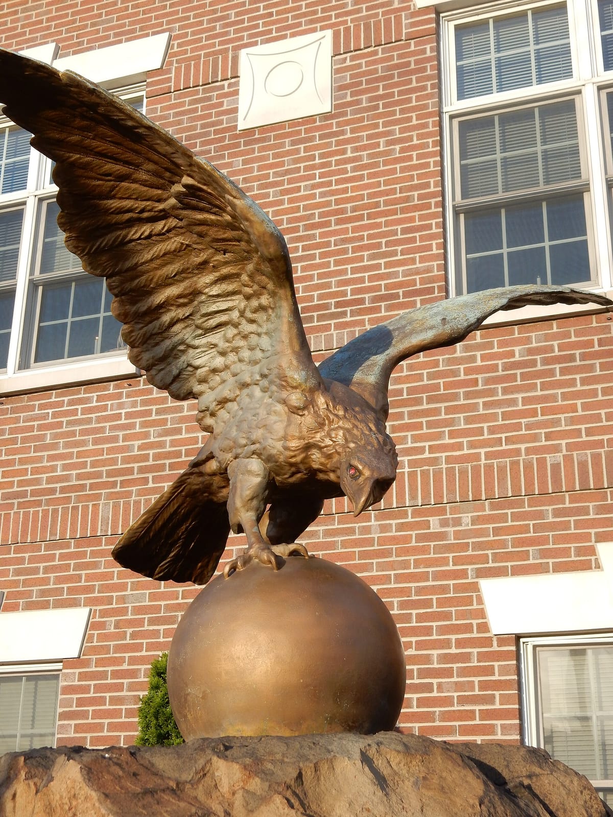 Wawa photo 4