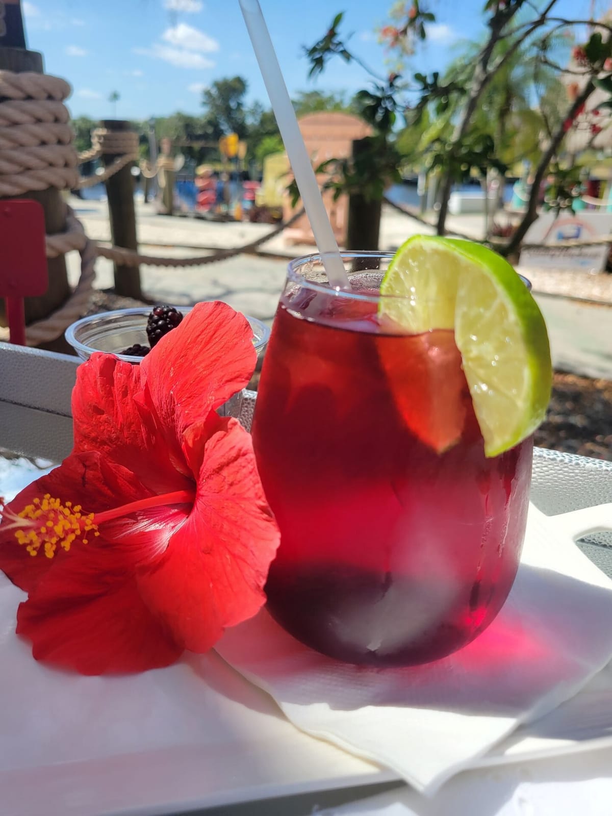 Sunny Harbour Coffee photo 4