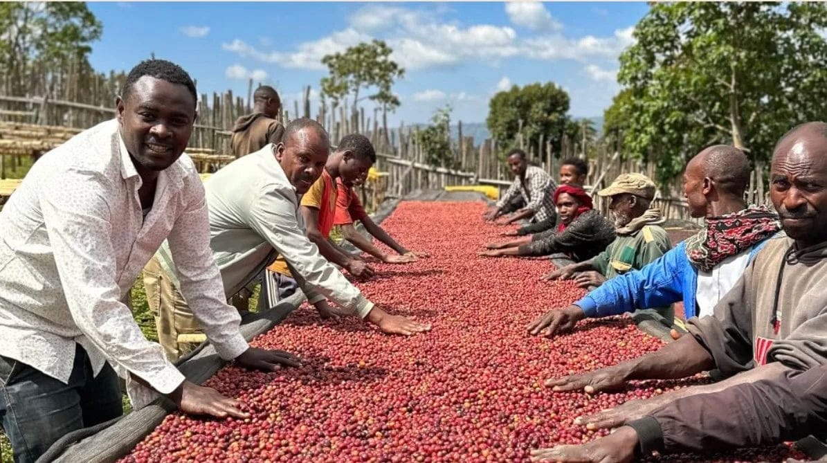Troubadour Coffee Roasters photo 4