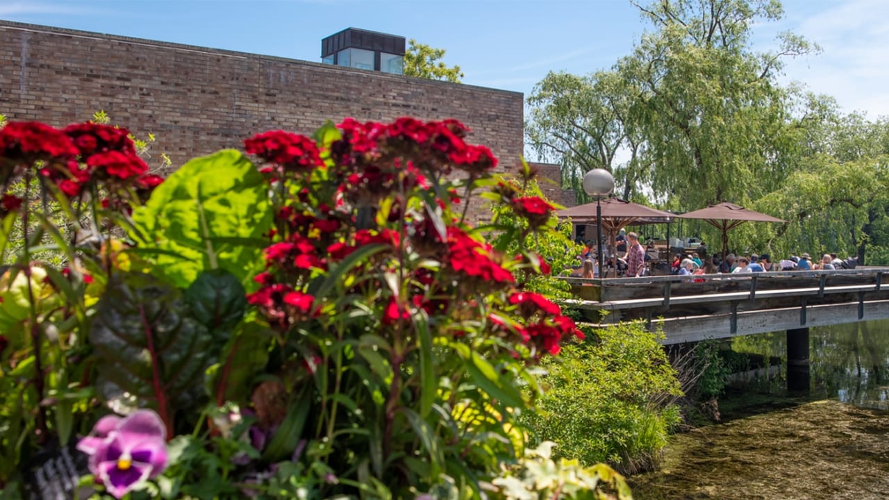 The Garden View Café at the Chicago Botanic Garden photo 4