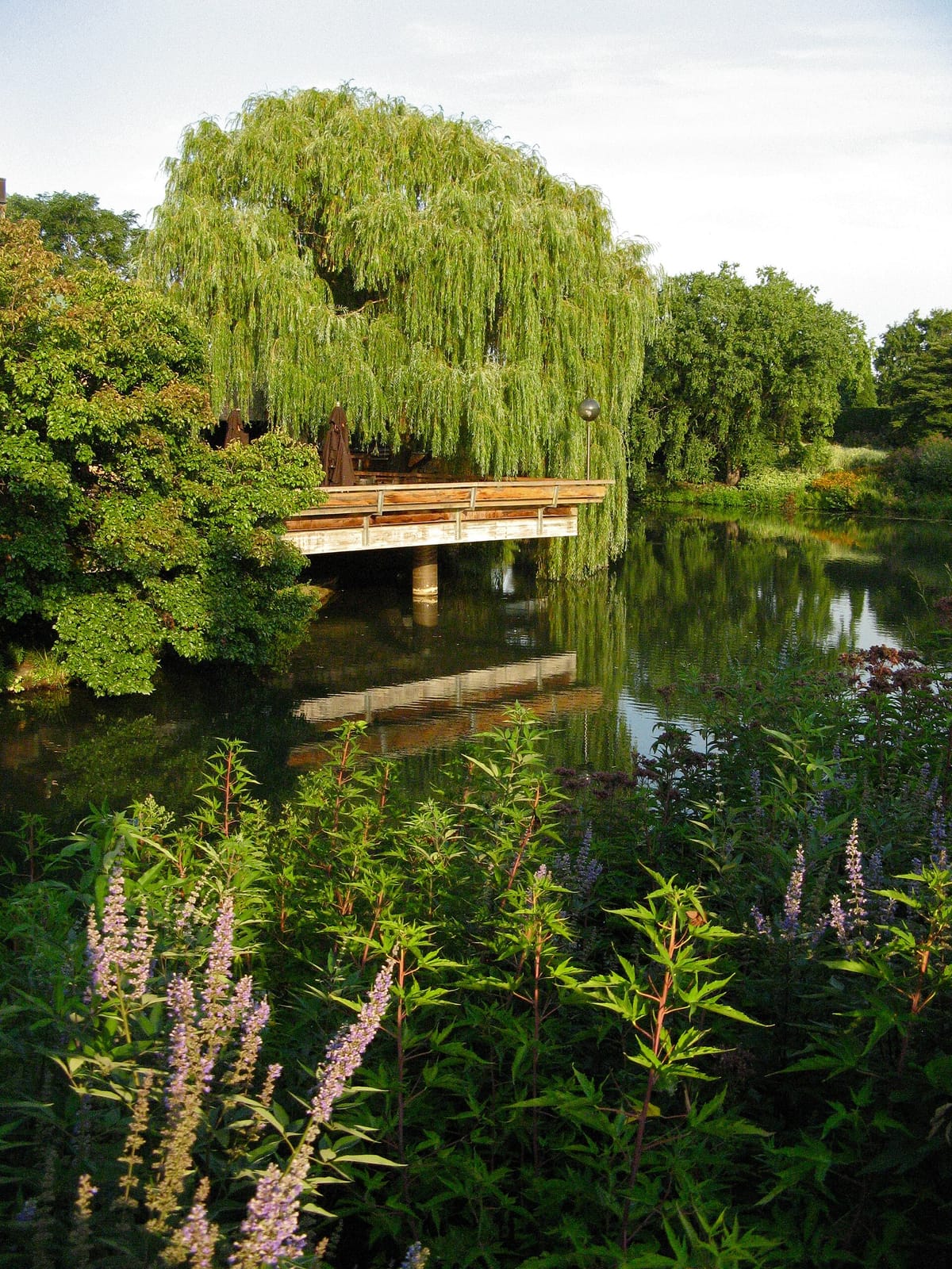 The Garden View Café at the Chicago Botanic Garden photo 8
