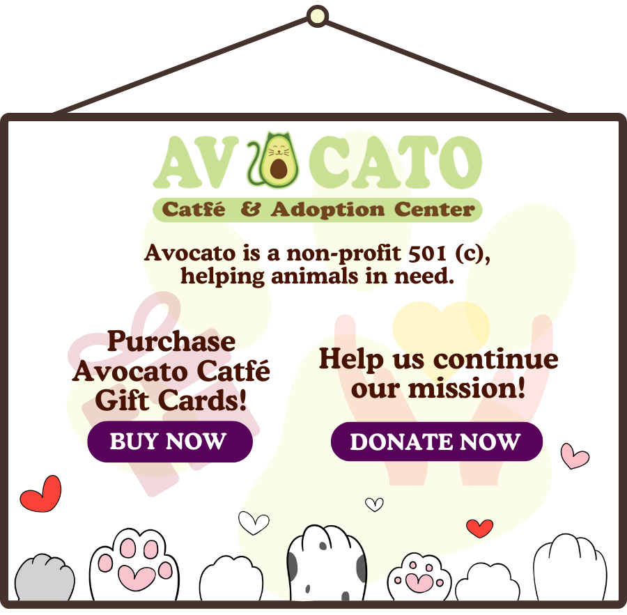 Avocato Catfe/PAAW photo 7