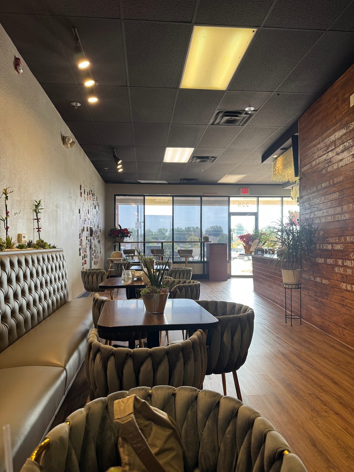 Mazamas Coffee Co