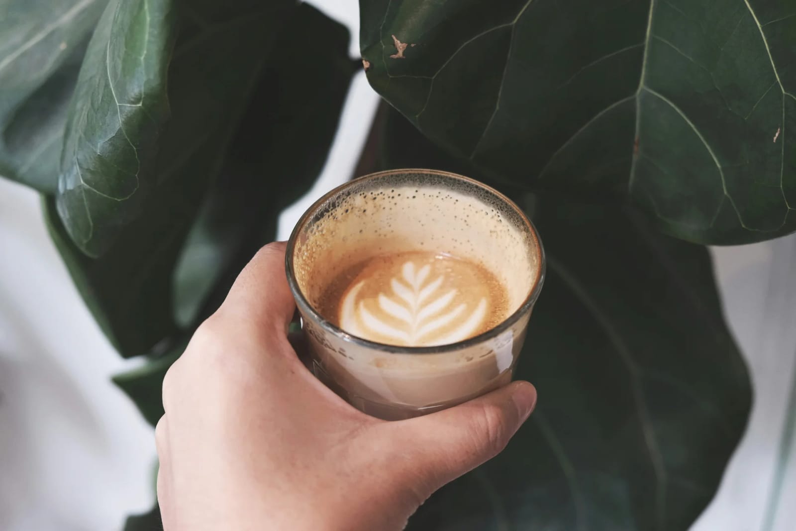 Vaella Coffee & Tea photo 4