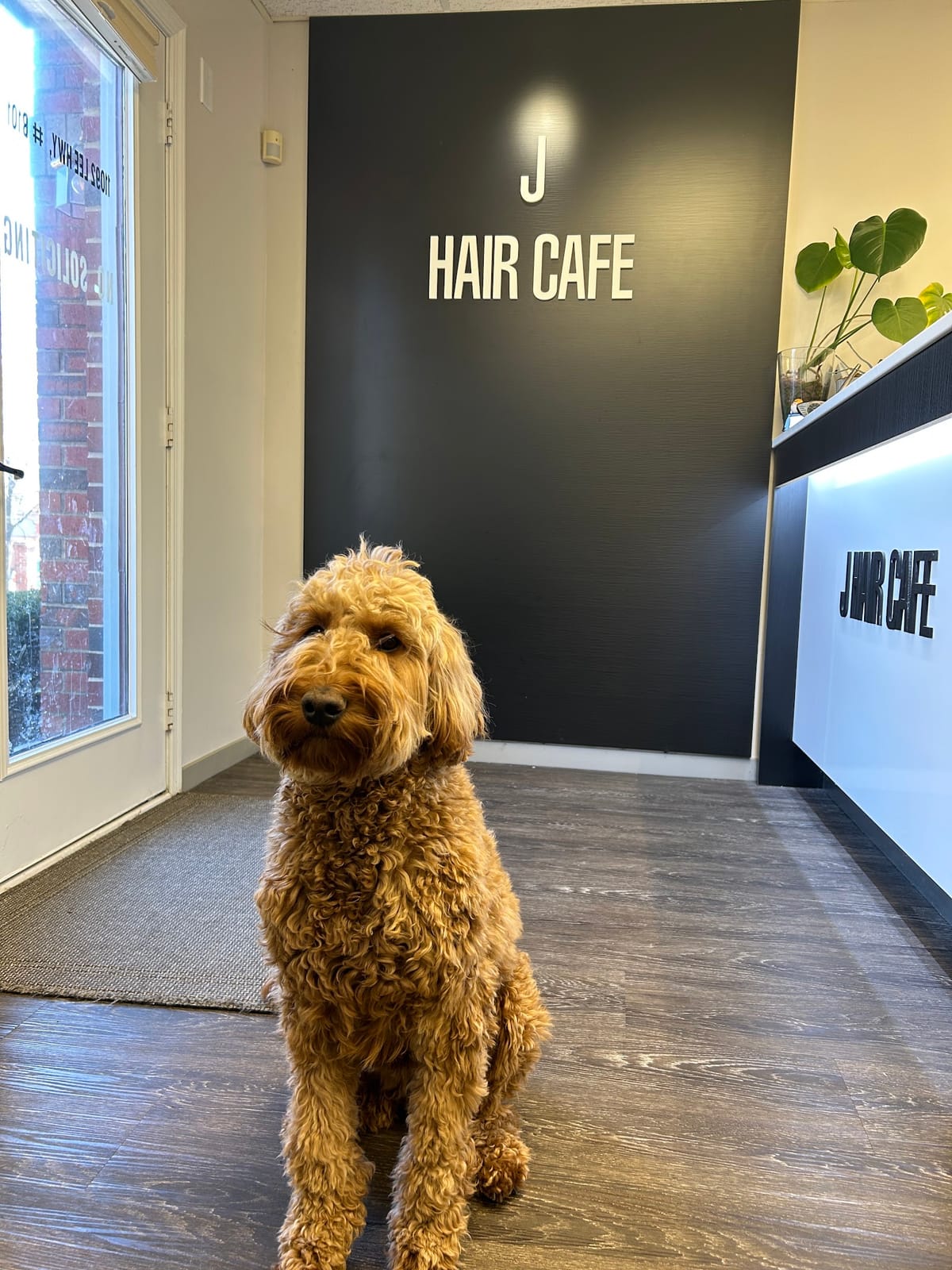 J Hair Cafe Salon