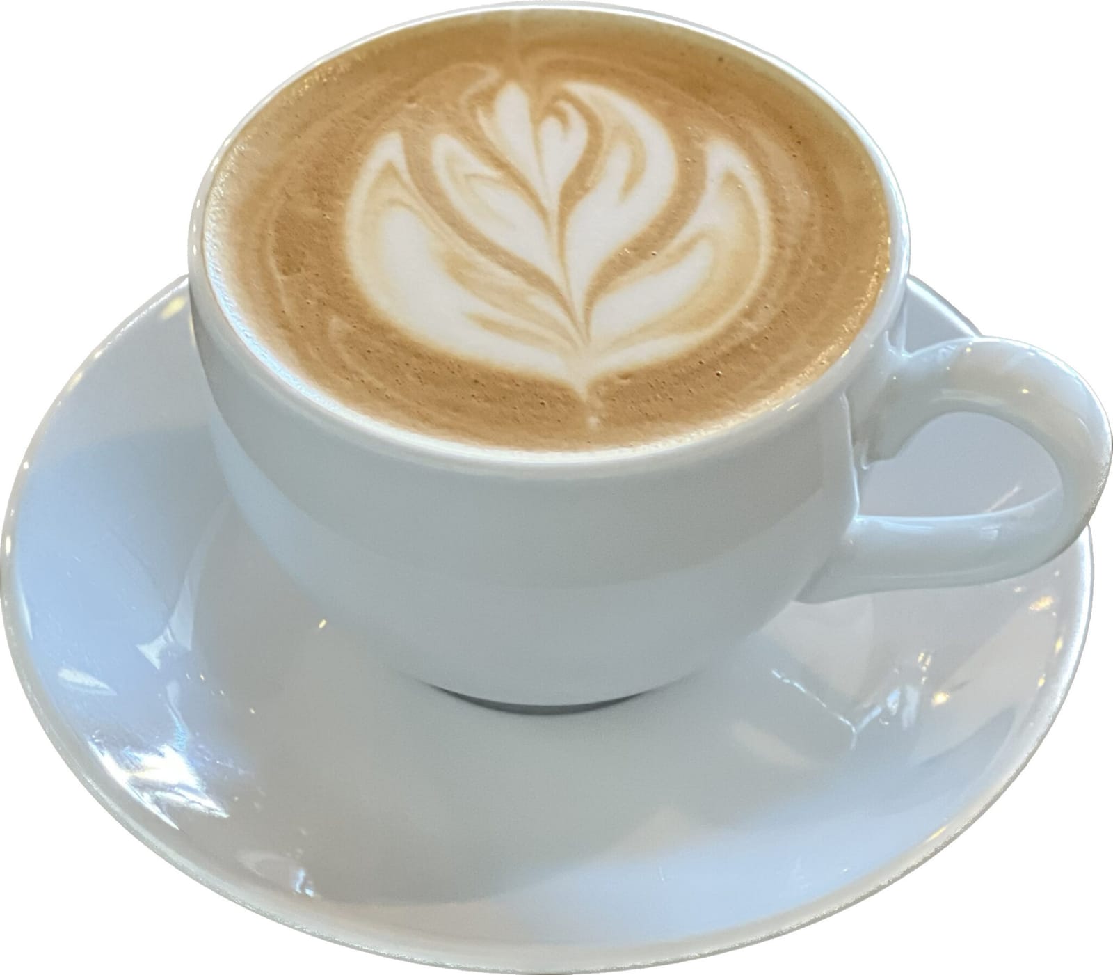SunBros Coffee photo 3