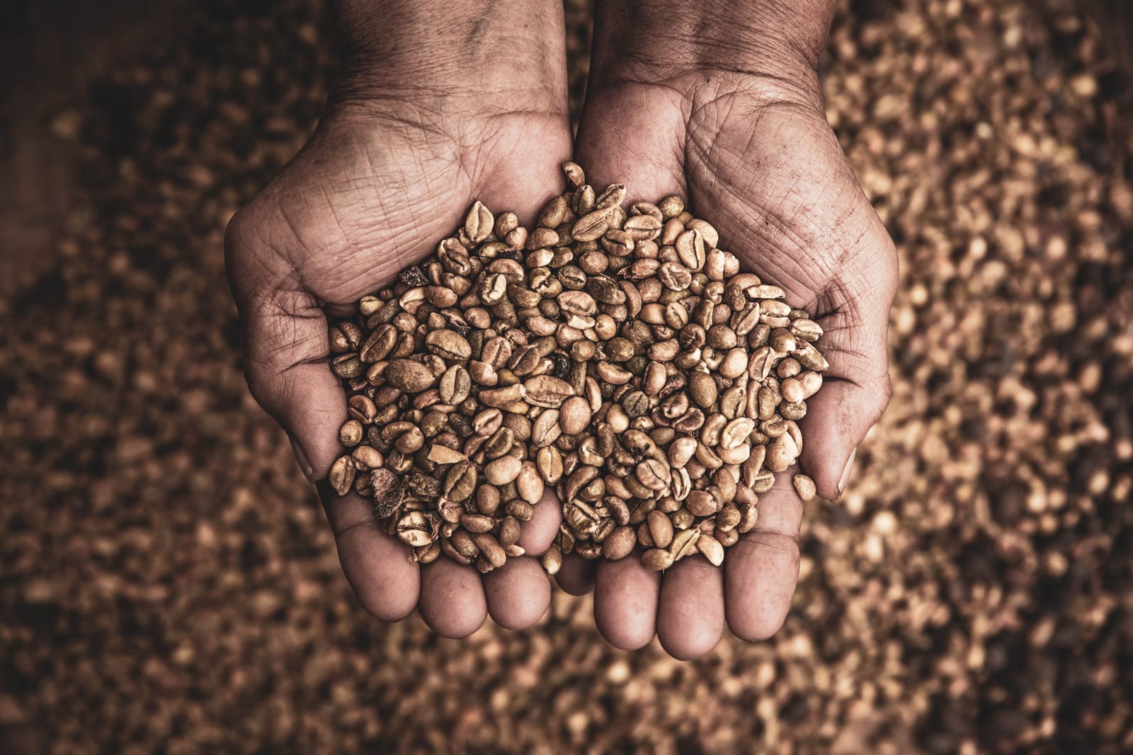 Varraco Coffee Roasters photo 4