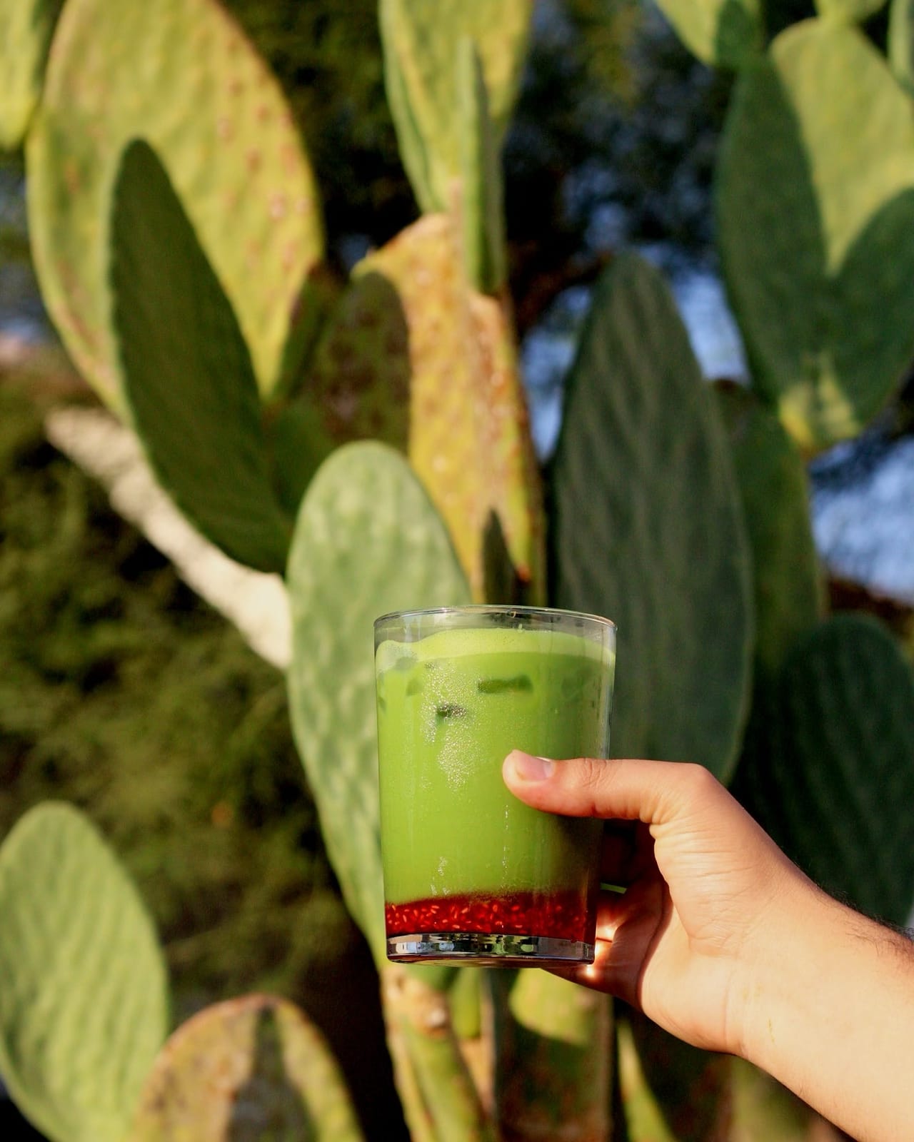 Mentosa Coffee - Palm Springs photo 4