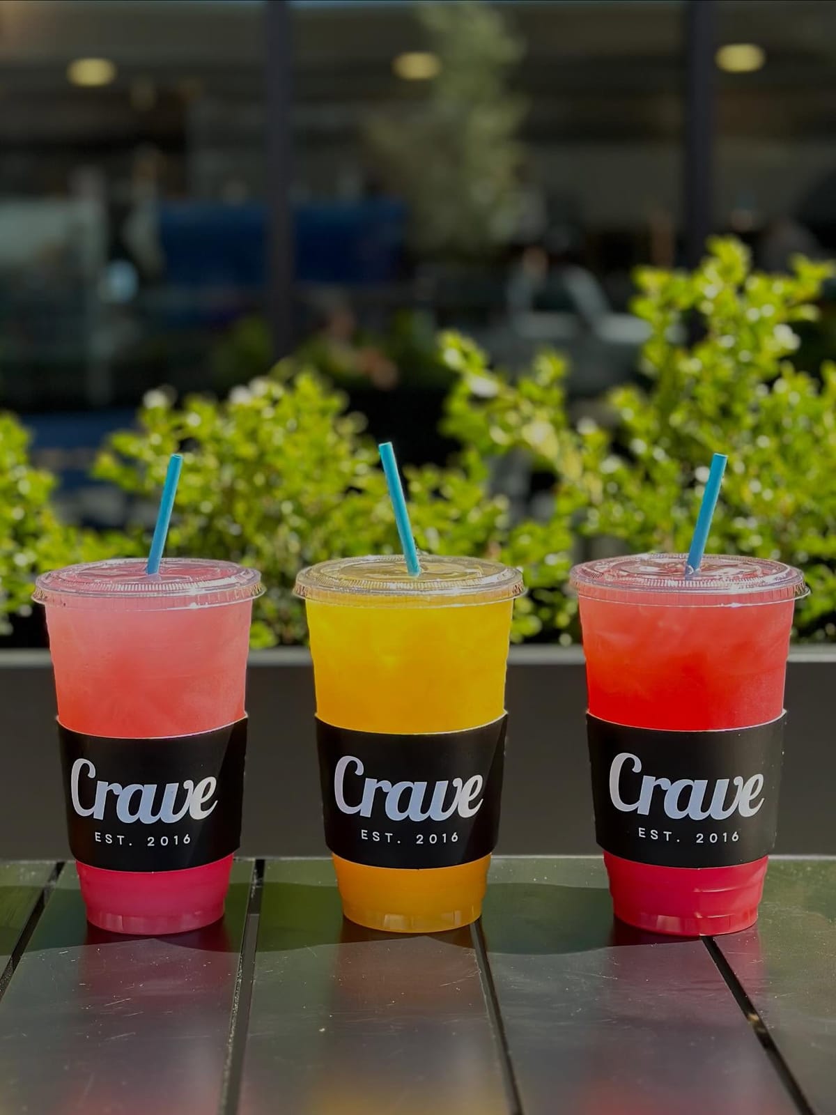 Crave Salem photo 5