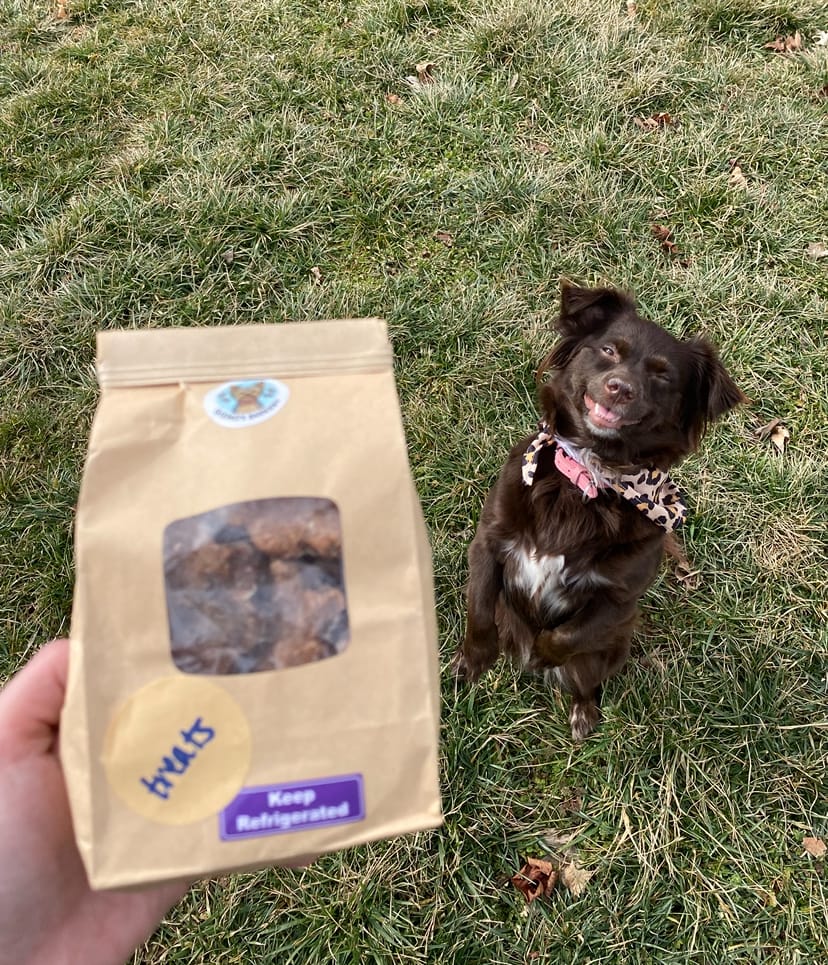 Gizmo’s Barkery