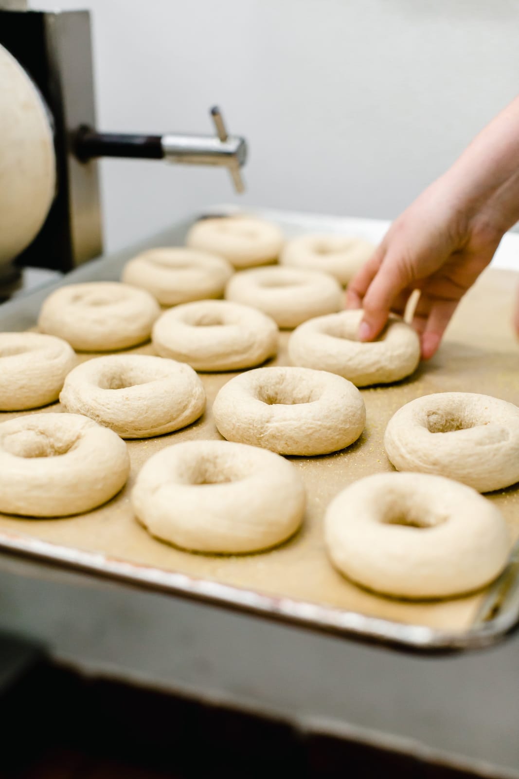 The Bagel Mill photo 7