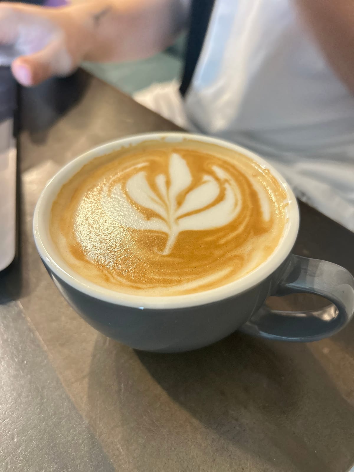 Mayer Coffee Co LLC